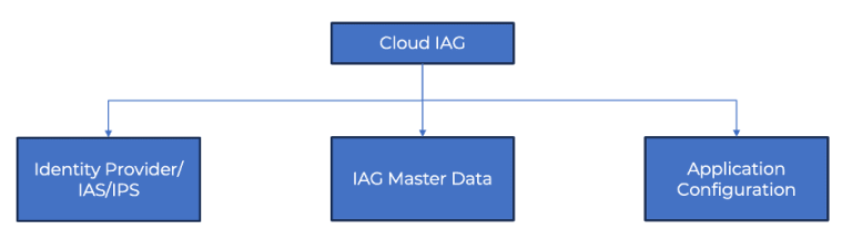 FAQs on SAP BTP, IAS and SAP IAG - ToggleNow
