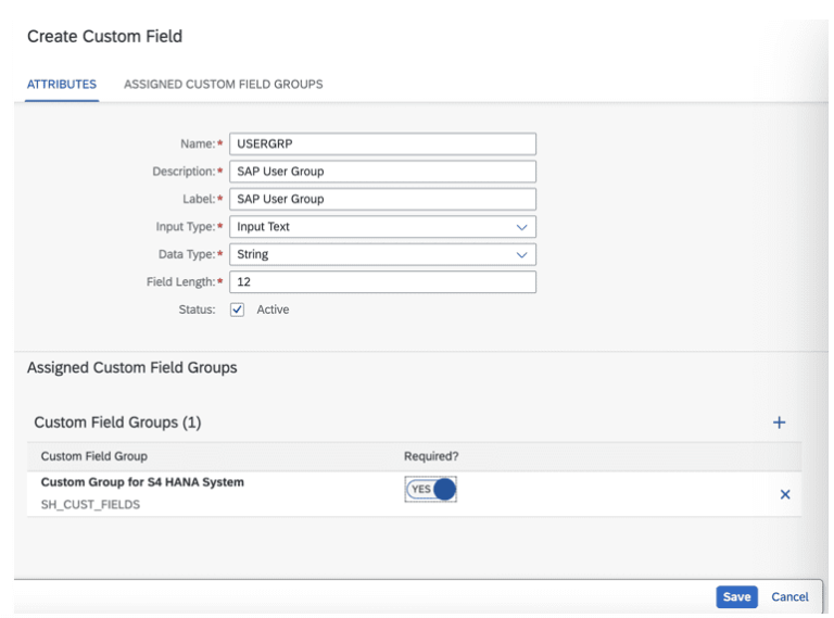 Create Custom Fields in SAP IAG Access FormGuide | ToggleNow