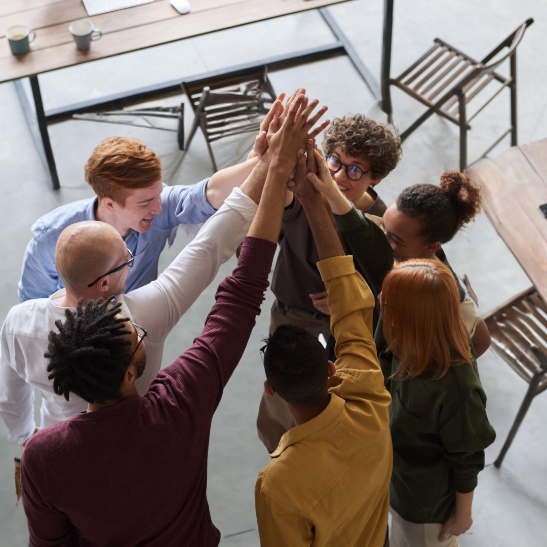 ToggleNow announces partnership with VOQUZ group